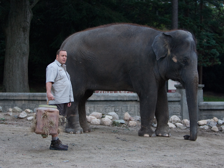 ZOOKEEPER-COMEDY Movie